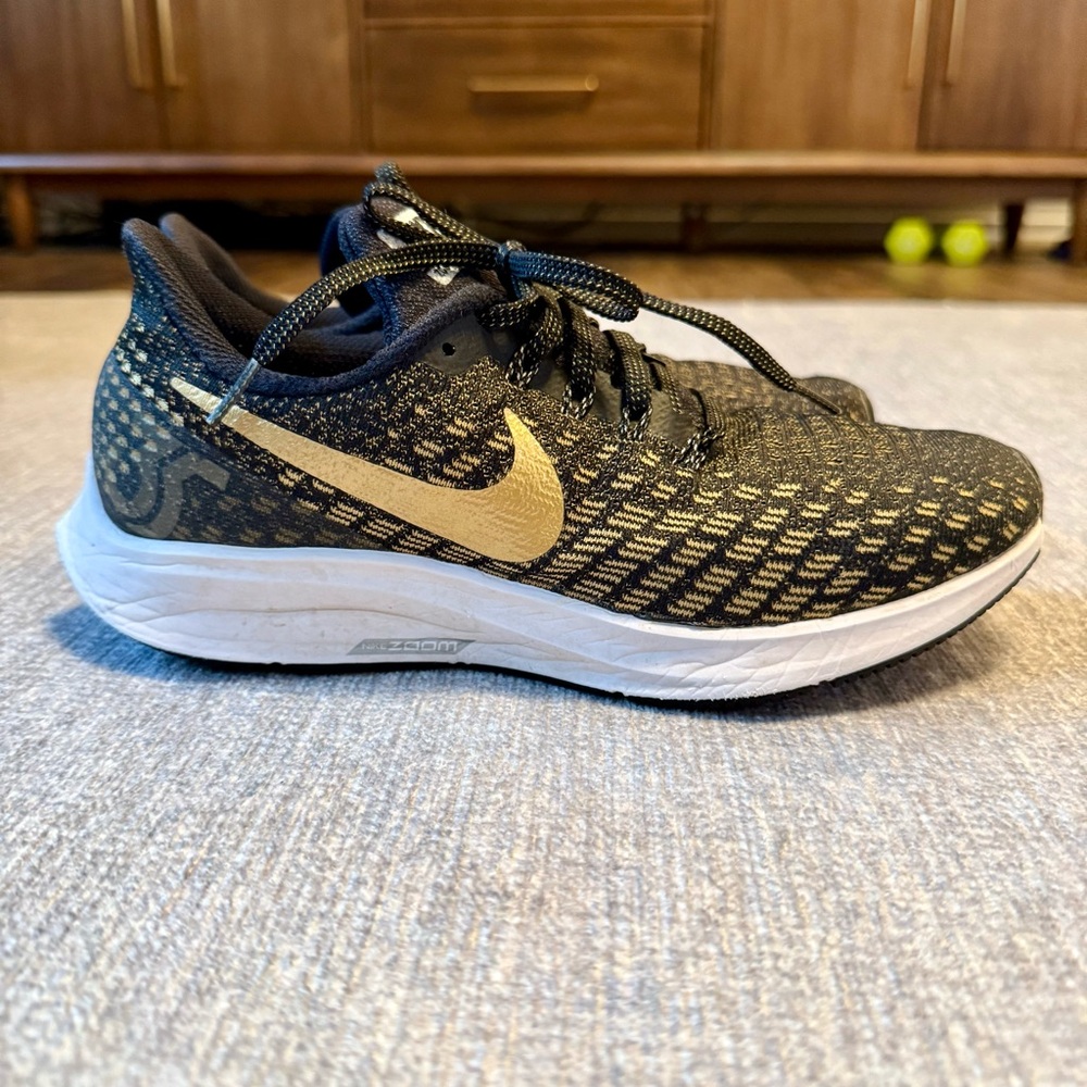Nike Zoom Pegasus 35